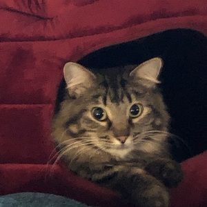 Meet your Posher, Jamie